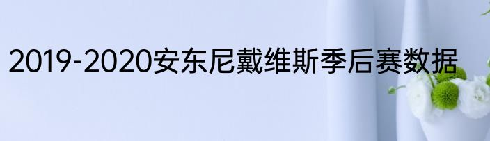2019-2020安东尼戴维斯季后赛数据