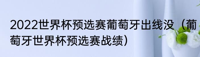 2022世界杯预选赛葡萄牙出线没（葡萄牙世界杯预选赛战绩）