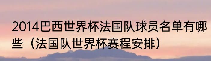 2014巴西世界杯法国队球员名单有哪些（法国队世界杯赛程安排）