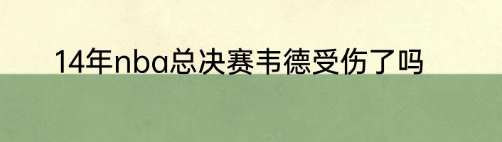 14年nba总决赛韦德受伤了吗