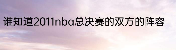 谁知道2011nba总决赛的双方的阵容