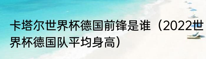 卡塔尔世界杯德国前锋是谁（2022世界杯德国队平均身高）