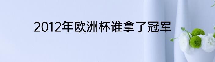 2012年欧洲杯谁拿了冠军