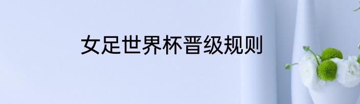 女足世界杯晋级规则
