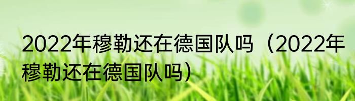 2022年穆勒还在德国队吗（2022年穆勒还在德国队吗）