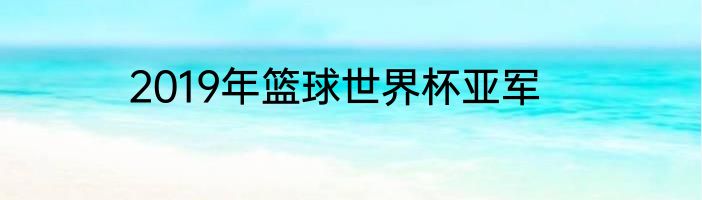 2019年篮球世界杯亚军