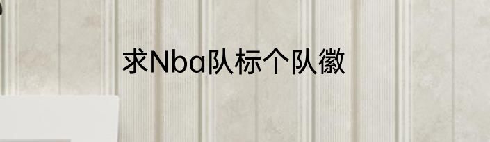求Nba队标个队徽