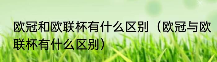 欧冠和欧联杯有什么区别（欧冠与欧联杯有什么区别）