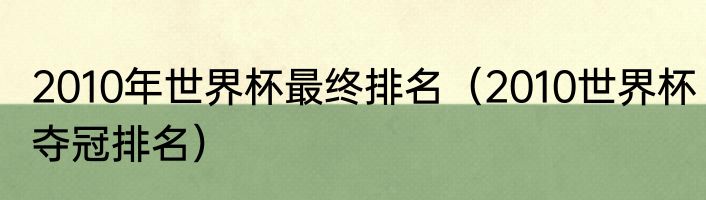 2010年世界杯最终排名（2010世界杯夺冠排名）