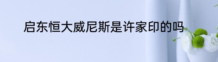 启东恒大威尼斯是许家印的吗