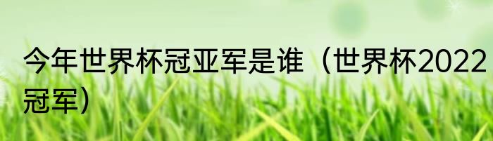 今年世界杯冠亚军是谁（世界杯2022冠军）