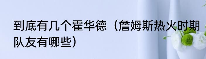 到底有几个霍华德（詹姆斯热火时期队友有哪些）