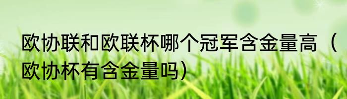 欧协联和欧联杯哪个冠军含金量高（欧协杯有含金量吗）