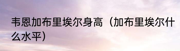 韦恩加布里埃尔身高（加布里埃尔什么水平）