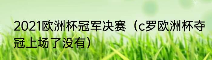 2021欧洲杯冠军决赛（c罗欧洲杯夺冠上场了没有）
