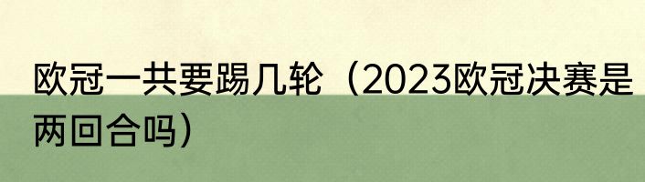 欧冠一共要踢几轮（2023欧冠决赛是两回合吗）