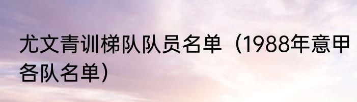 尤文青训梯队队员名单（1988年意甲各队名单）