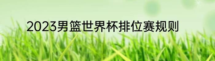 2023男篮世界杯排位赛规则