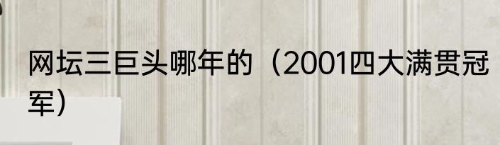 网坛三巨头哪年的（2001四大满贯冠军）
