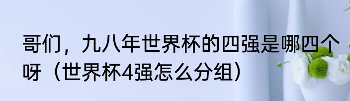 哥们，九八年世界杯的四强是哪四个呀（世界杯4强怎么分组）