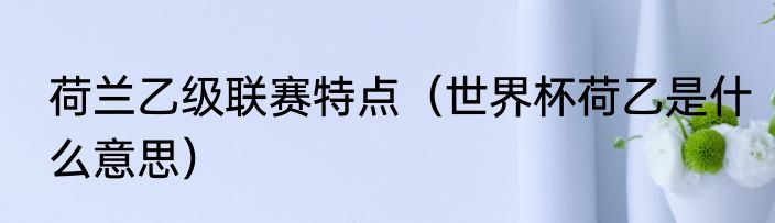 荷兰乙级联赛特点（世界杯荷乙是什么意思）