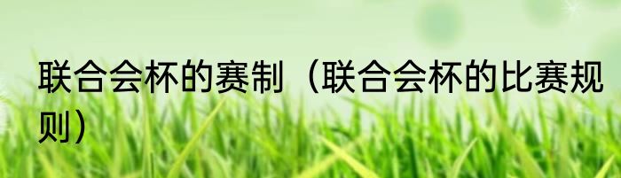 联合会杯的赛制（联合会杯的比赛规则）