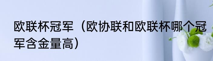 欧联杯冠军（欧协联和欧联杯哪个冠军含金量高）