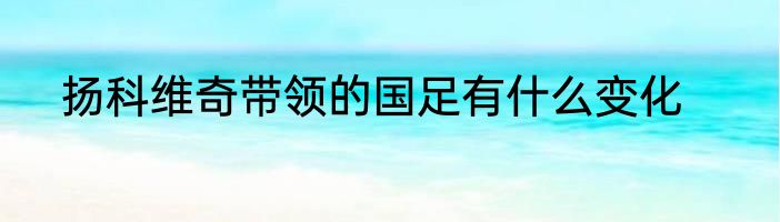 扬科维奇带领的国足有什么变化