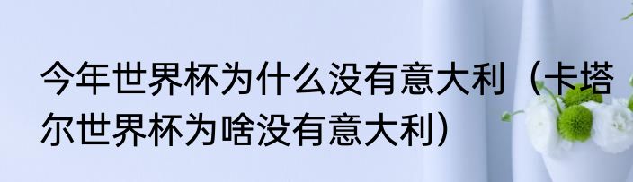 今年世界杯为什么没有意大利（卡塔尔世界杯为啥没有意大利）