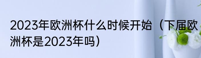 2023年欧洲杯什么时候开始（下届欧洲杯是2023年吗）