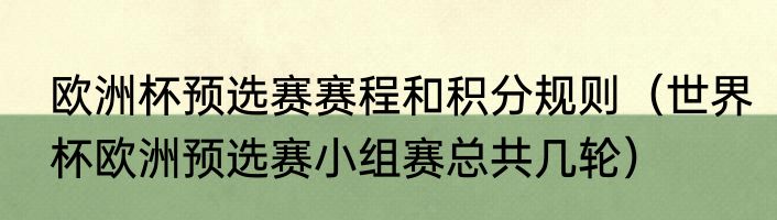 欧洲杯预选赛赛程和积分规则（世界杯欧洲预选赛小组赛总共几轮）