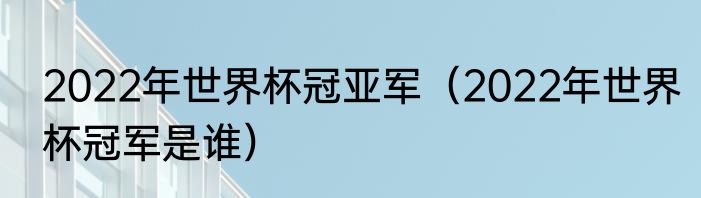 2022年世界杯冠亚军（2022年世界杯冠军是谁）