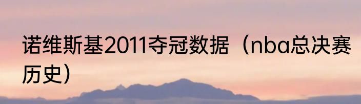 诺维斯基2011夺冠数据（nba总决赛历史）
