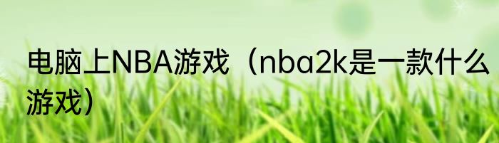 电脑上NBA游戏（nba2k是一款什么游戏）
