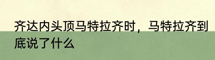 齐达内头顶马特拉齐时，马特拉齐到底说了什么