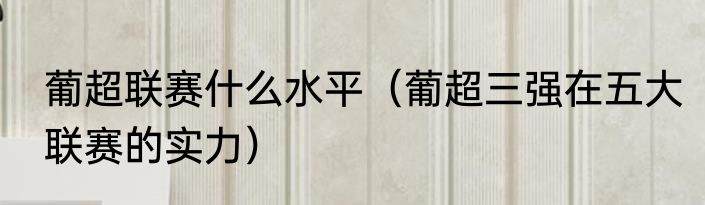葡超联赛什么水平（葡超三强在五大联赛的实力）