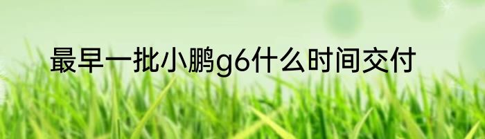 最早一批小鹏g6什么时间交付