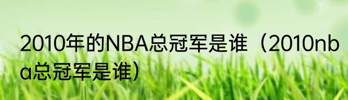 2010年的NBA总冠军是谁（2010nba总冠军是谁）