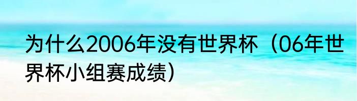 为什么2006年没有世界杯（06年世界杯小组赛成绩）