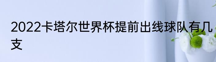 2022卡塔尔世界杯提前出线球队有几支