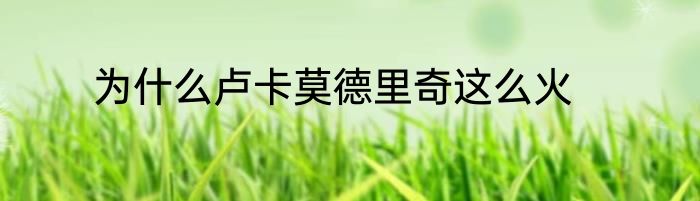 为什么卢卡莫德里奇这么火