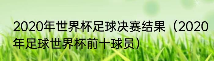 2020年世界杯足球决赛结果（2020年足球世界杯前十球员）