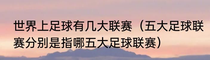 世界上足球有几大联赛（五大足球联赛分别是指哪五大足球联赛）