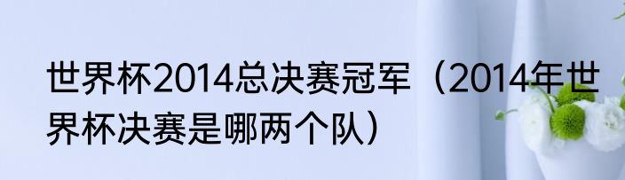 世界杯2014总决赛冠军（2014年世界杯决赛是哪两个队）