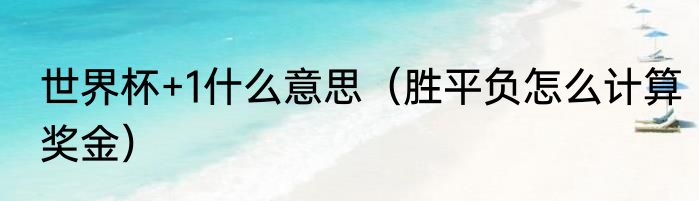 世界杯+1什么意思（胜平负怎么计算奖金）