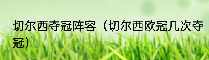 切尔西夺冠阵容（切尔西欧冠几次夺冠）