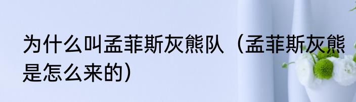 为什么叫孟菲斯灰熊队（孟菲斯灰熊是怎么来的）