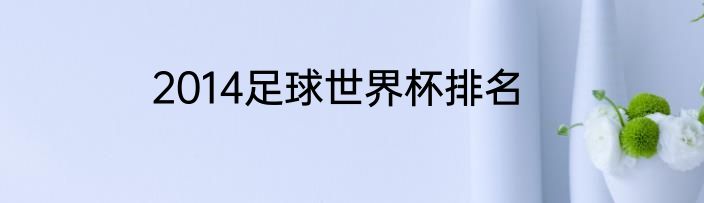 2014足球世界杯排名