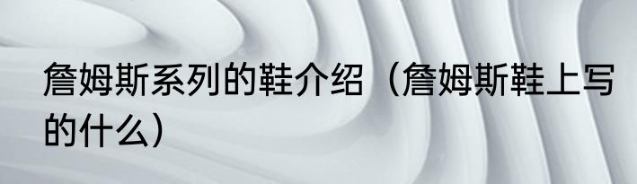 詹姆斯系列的鞋介绍（詹姆斯鞋上写的什么）