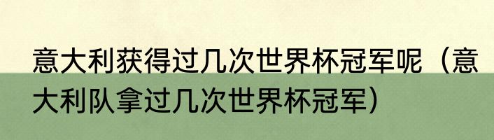 意大利获得过几次世界杯冠军呢（意大利队拿过几次世界杯冠军）